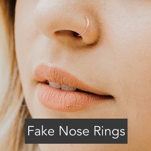 Fake Nose Rings